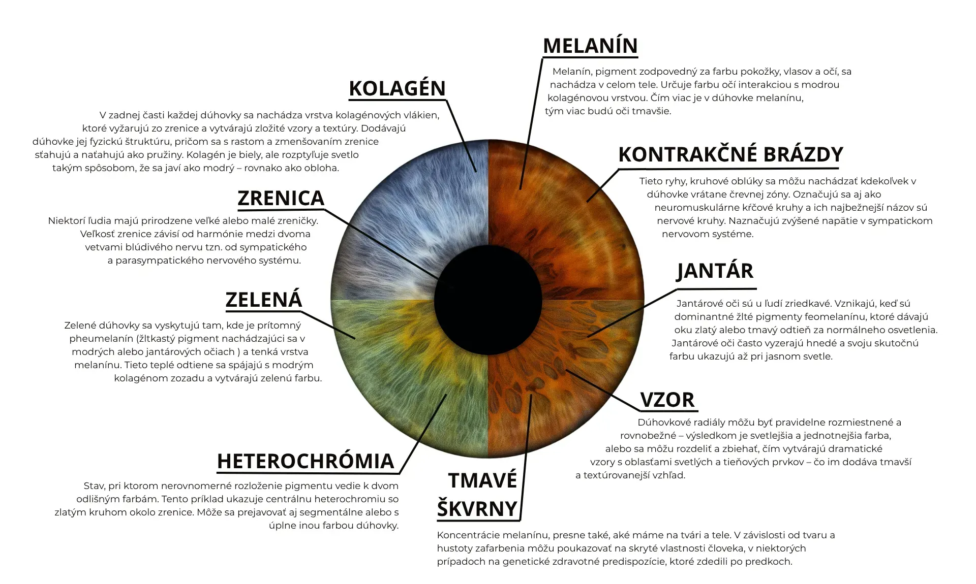 Čo je irisdiagnostika